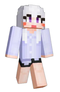 Front of PENEL's skin