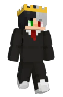 ___sari___'s Minecraft skin