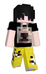 Slim Minecraft skin