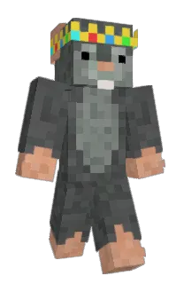 Front of yowspgangalanch's skin