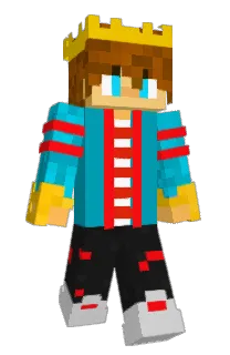 Front of ja6199's skin