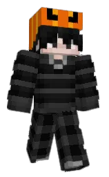 mine shaft and cod gray Minecraft skin — Classic model