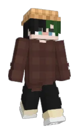Minecraft skin — Classic model