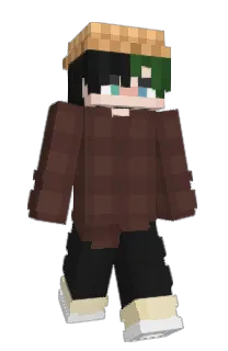 Front of Minecraft skin
