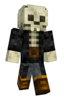 Front of 6lt5's skin