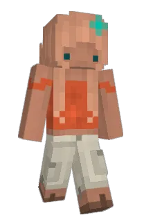 Front of bavanavaa's skin