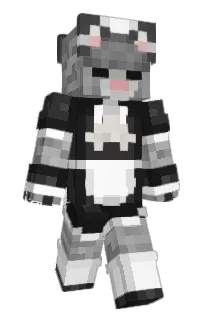 Front of BurzKka's skin