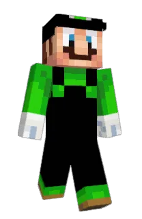 Front of herwoys's skin