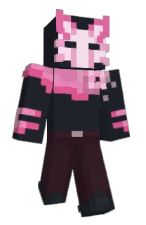 Front of taxshelter_'s skin