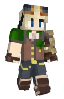 Front of InteCarro's skin