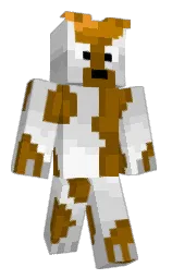 Minecraft skin — Classic model