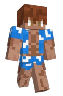 Front of Minecraft skin