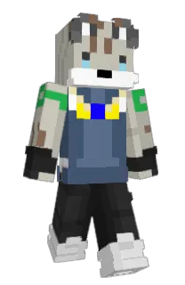 LudicrousFox01's Minecraft skin