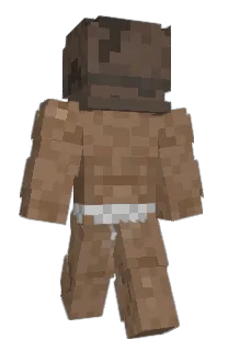 Front of Toasterero's skin