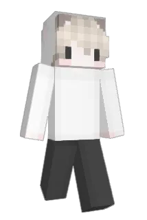 c_95438934058093 Minecraft avatar full body