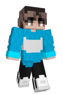 c_Tom Minecraft avatar full body