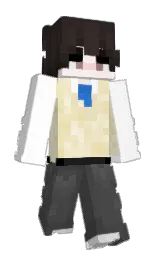 Minecraft skin — Slim model