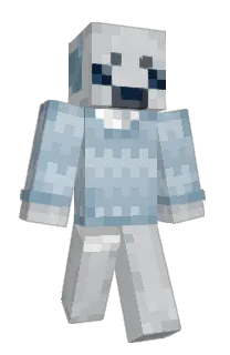 Front of lleeza's skin
