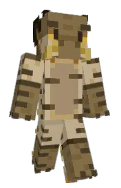 Skin preview