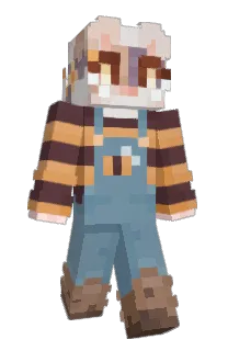 Front of anivator's skin