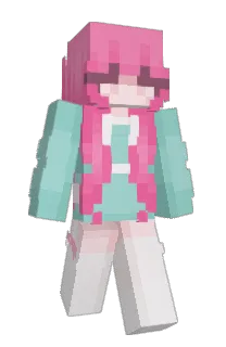 Front of iAim's skin