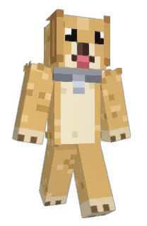 Front of OriginalFlex's skin