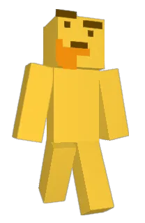 Front of Citizenship's skin