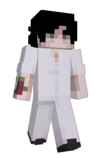 Front of Tretons's skin