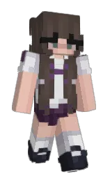 Classic Minecraft skin