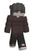 bxrev