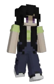 Skin preview