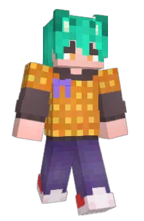 Front of Coolment's skin