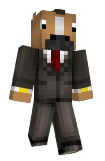 Front of BallBird_'s skin