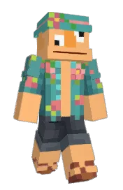 Skin preview