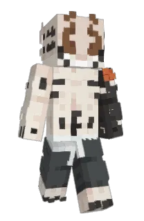 Front of Nokkrux's skin
