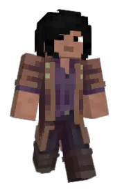 Skin preview