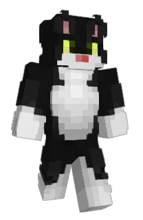 Front of plutoniumchillsy's skin