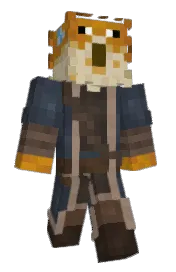 Skin preview