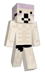 Slim Minecraft skin