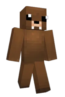 caasinoix Minecraft avatar full body