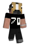 caballo_HD Minecraft avatar full body