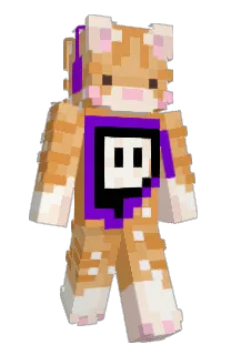Front of xkvy's skin