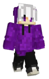 Minecraft skin — Classic model