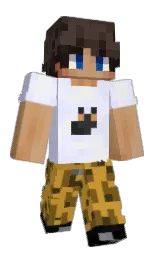 Classic Minecraft skin