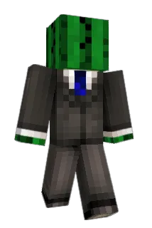 cactusfool1 Minecraft avatar full body