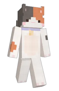 sqtoh's Minecraft skin
