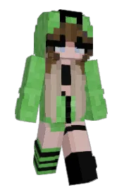 Skin preview