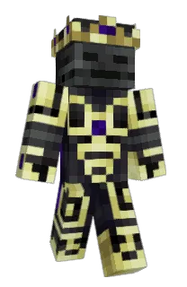 Front of Anovatic's skin