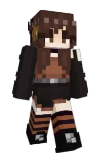Front of iPoopLegos's skin