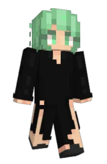 Front of seb4s's skin
